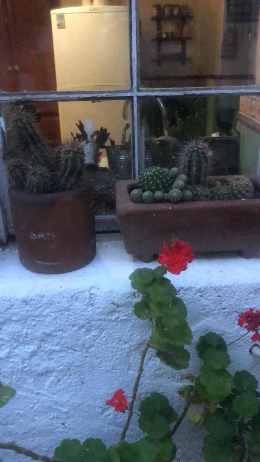 Home Stay Maria Hidalgo del Parral Esterno foto